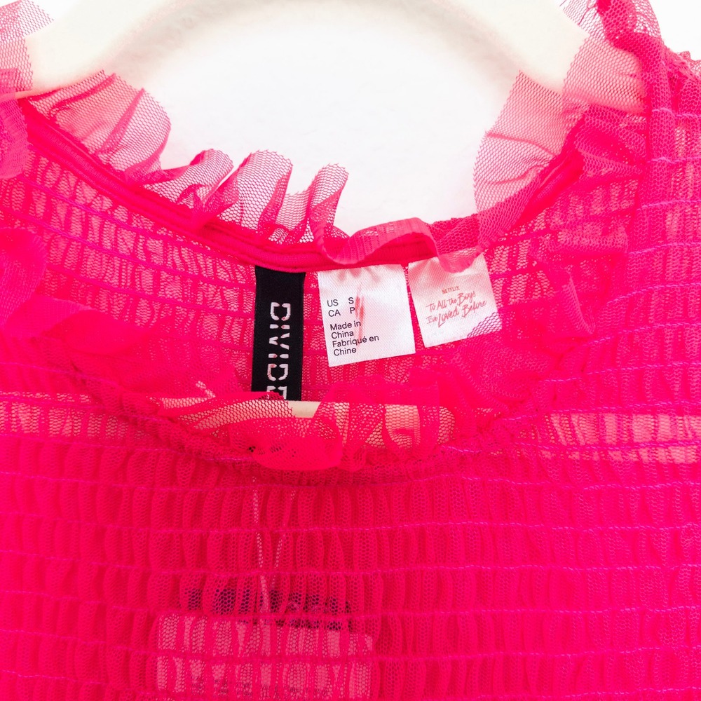H&M Collab All The Boys Dress Sz S Hot Pink Sheer Mesh Ruffle Mini Y2K Coquette - Picture 6 of 9
